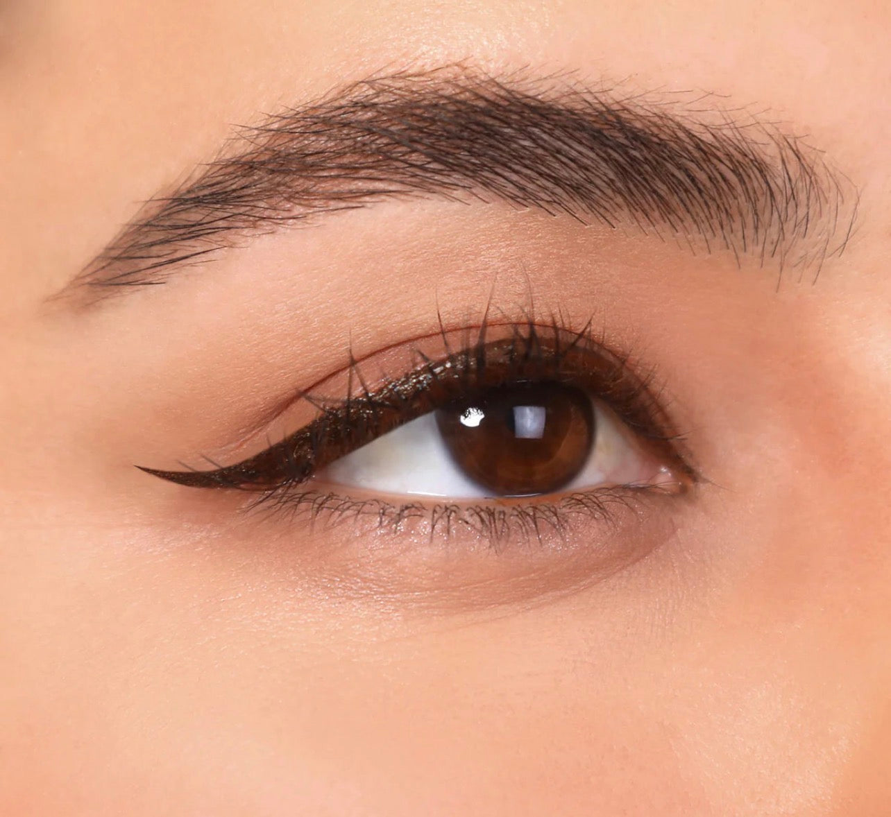 PRECISION LIQUID LINER (003, BROWN)