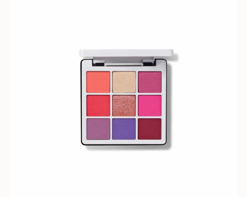 Anastasia NORVINA MINI PRO PIGMENT VOL 1