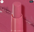 Labial Locked in Place  02