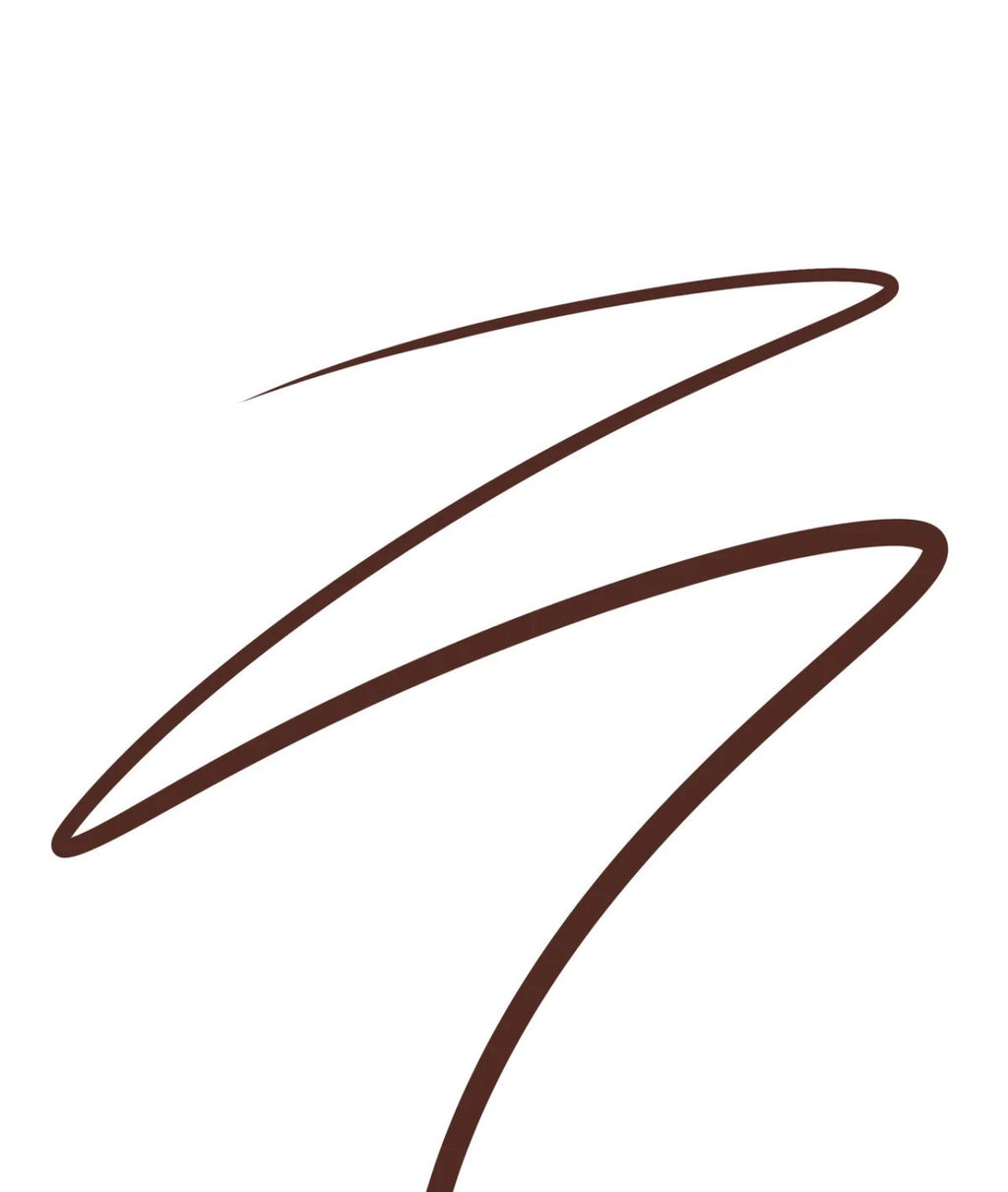 PRECISION LIQUID LINER (003, BROWN)